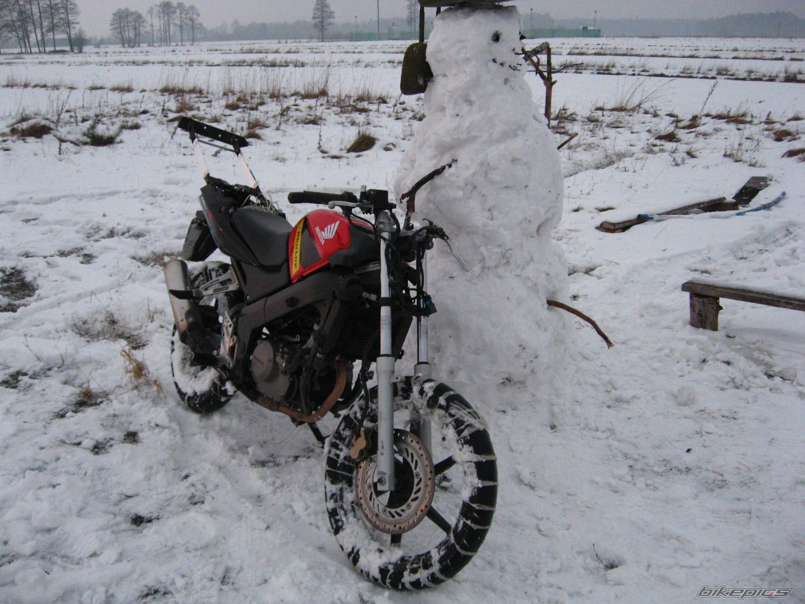 Photo 1543259