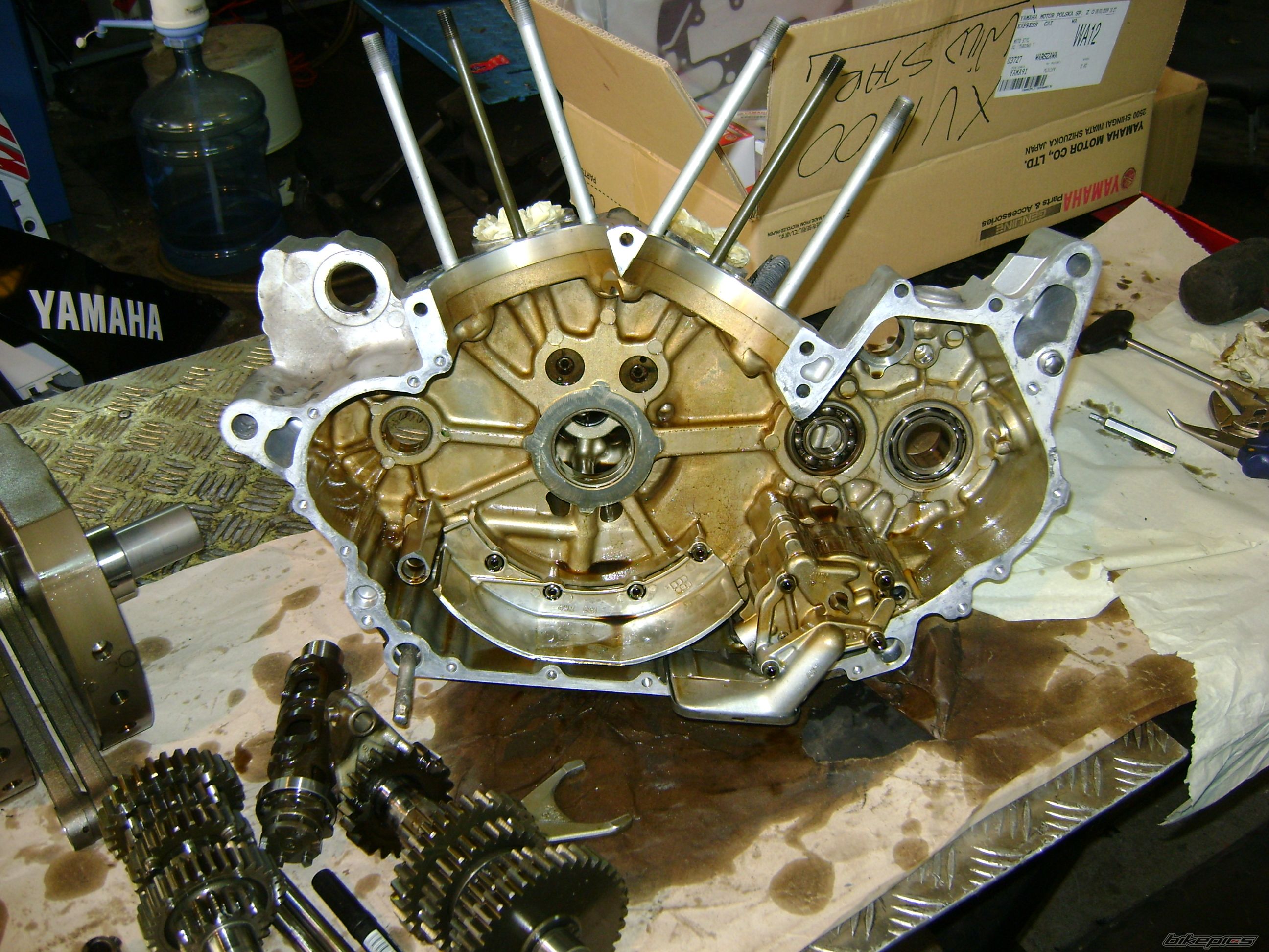 Photo 1544220