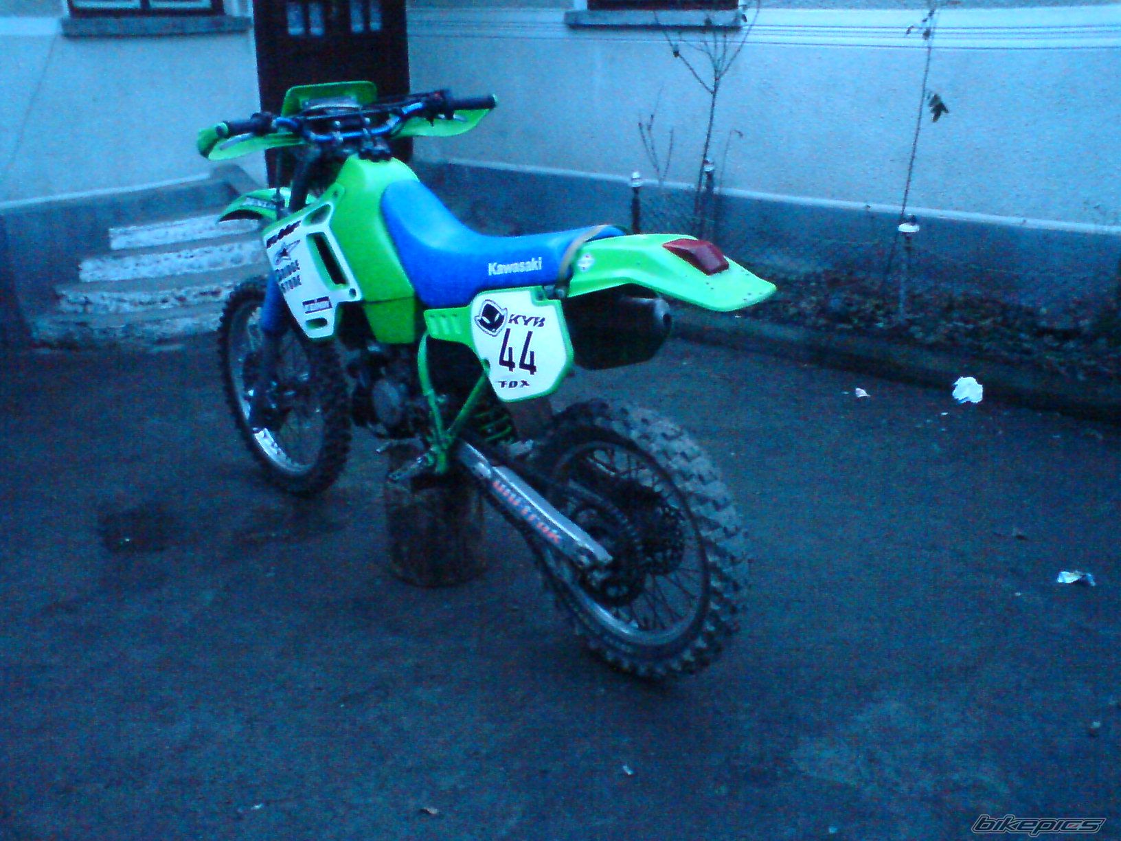 Photo 1545182