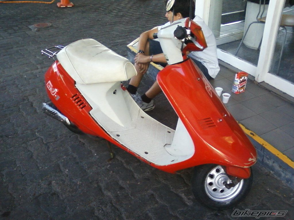 Photo 1545962