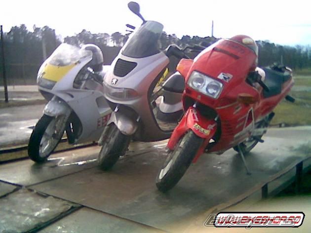 Photo 1546051