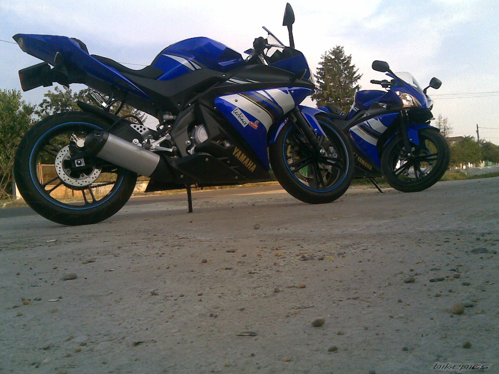 Photo 1551454