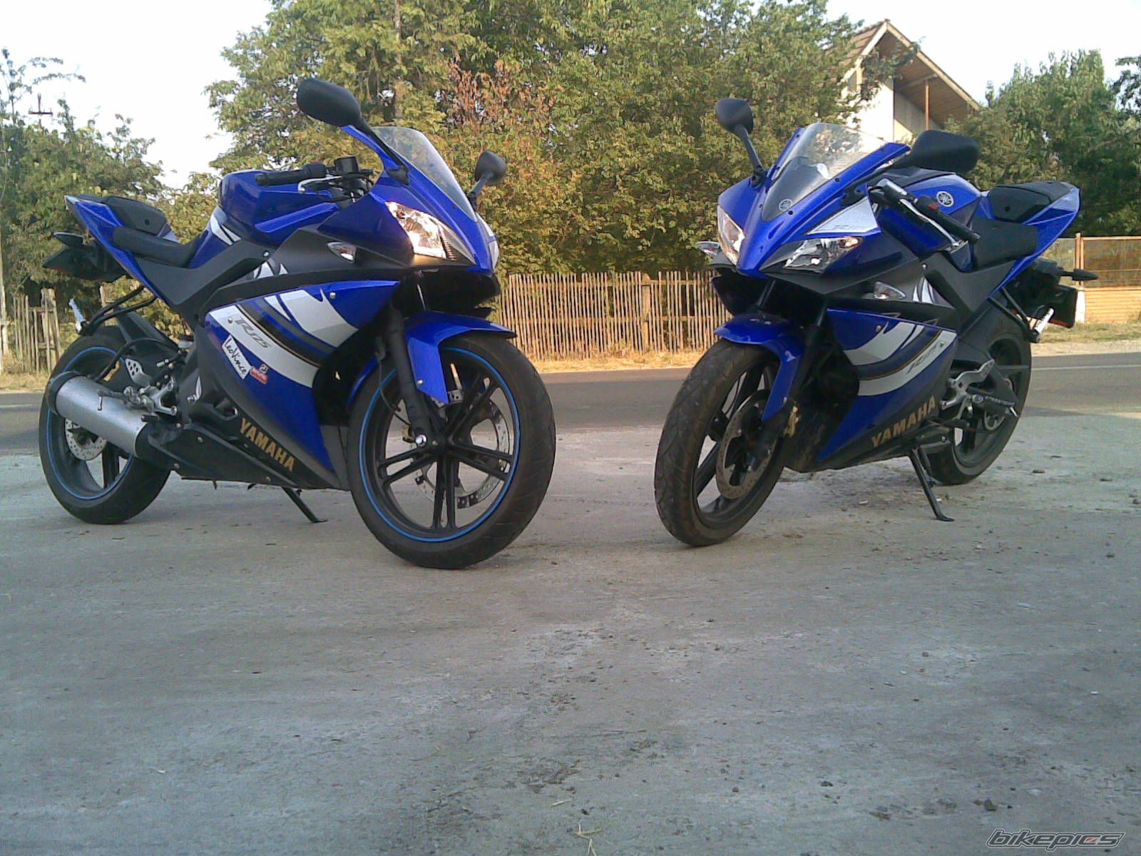 Photo 1551456