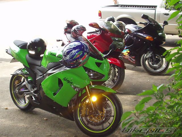 Photo 1552682
