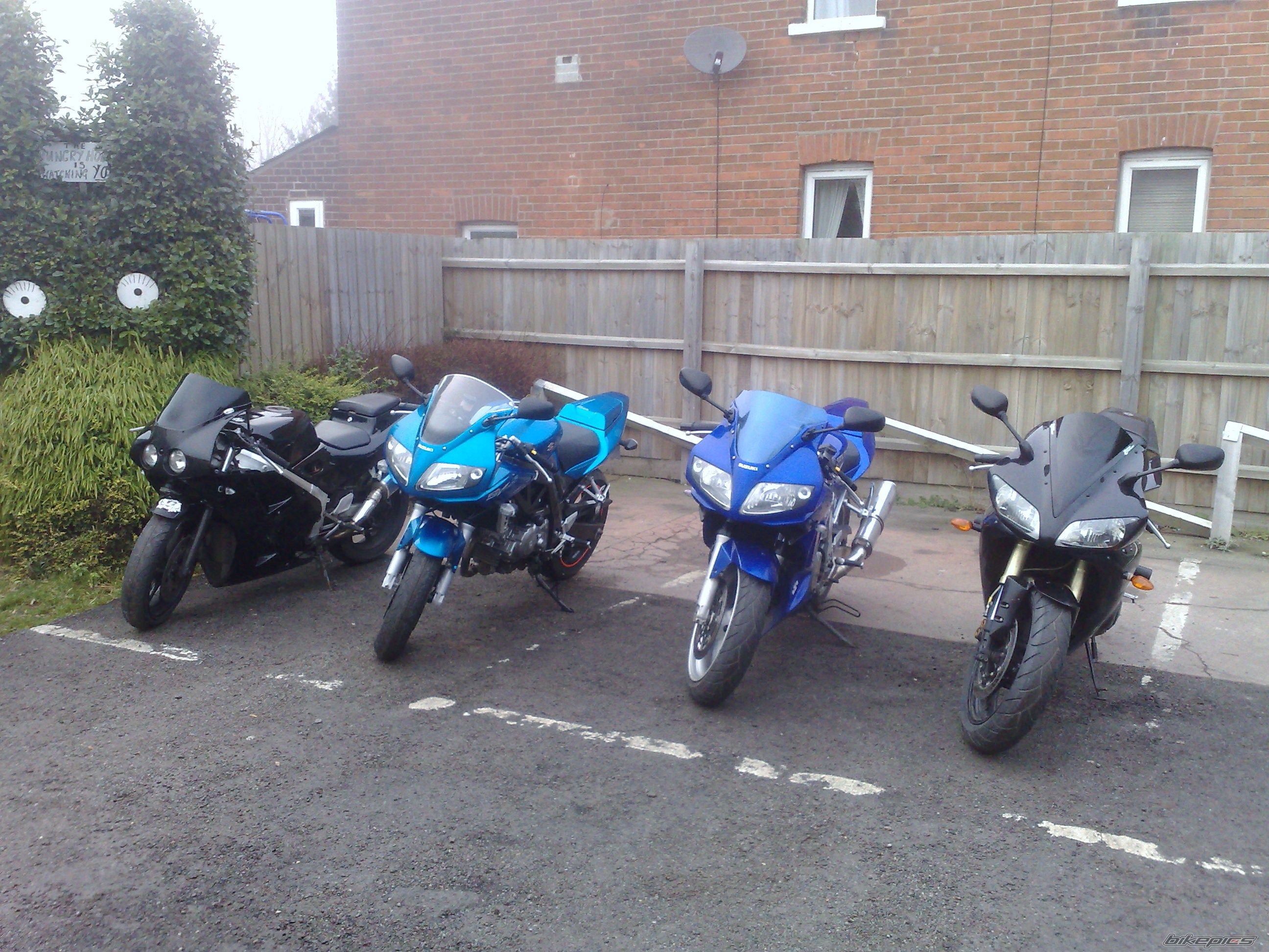 Photo 1553465