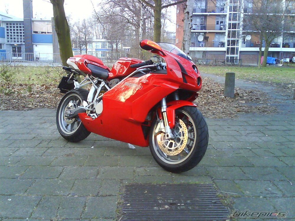 Photo 1554452
