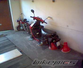 Photo 1554710