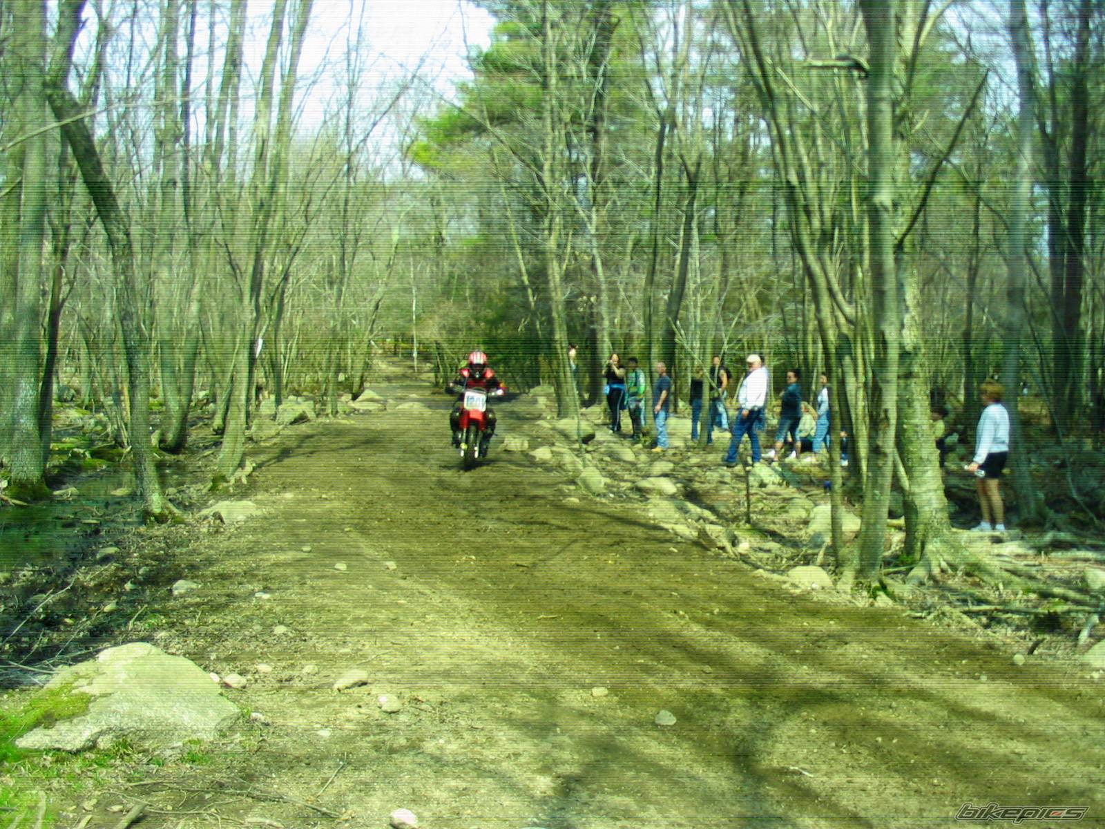 Bike Photo 155522