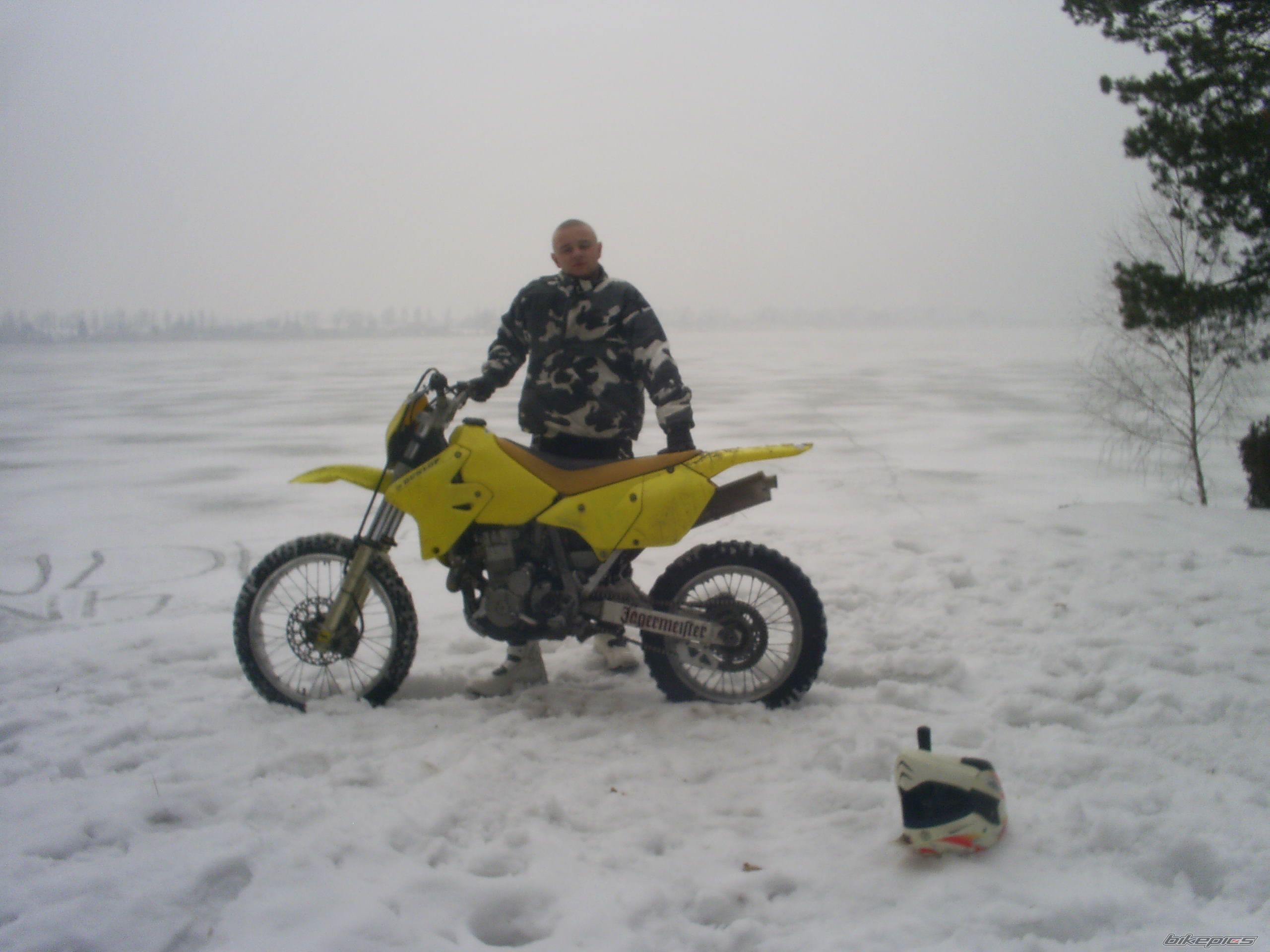 Photo 1555604