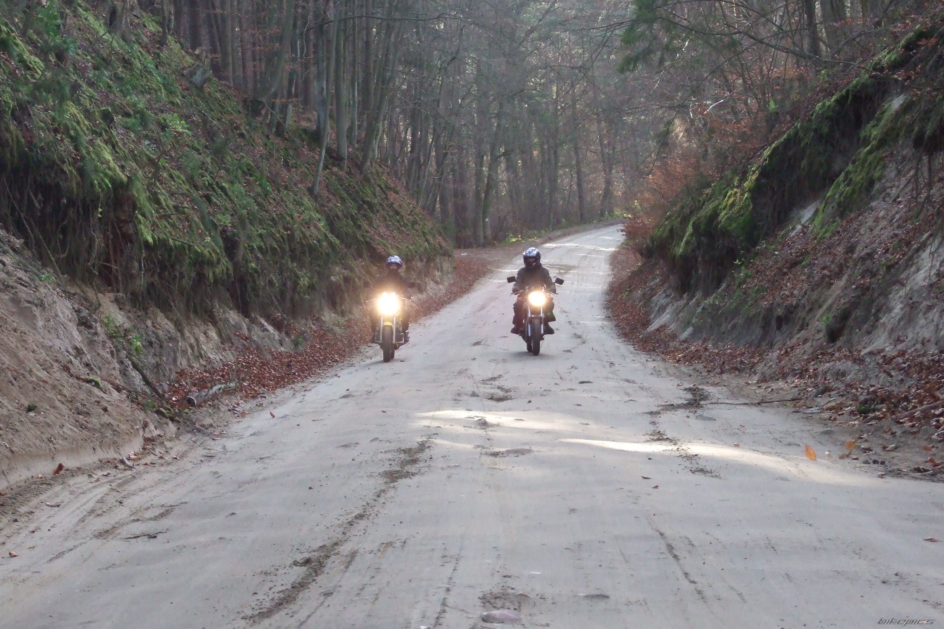Bike Photo 1555843