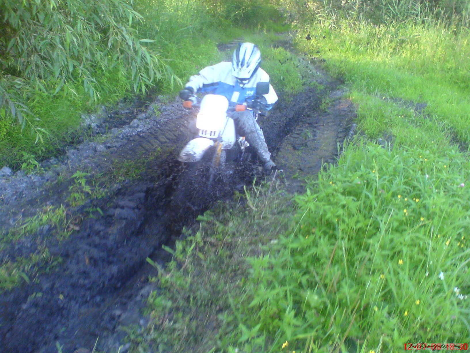 Bike Photo 1556808
