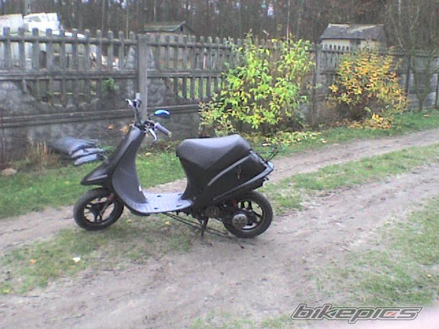 Photo 1557793
