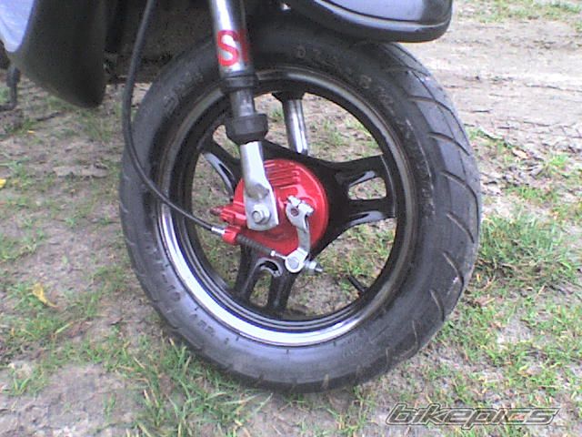 Photo 1557794