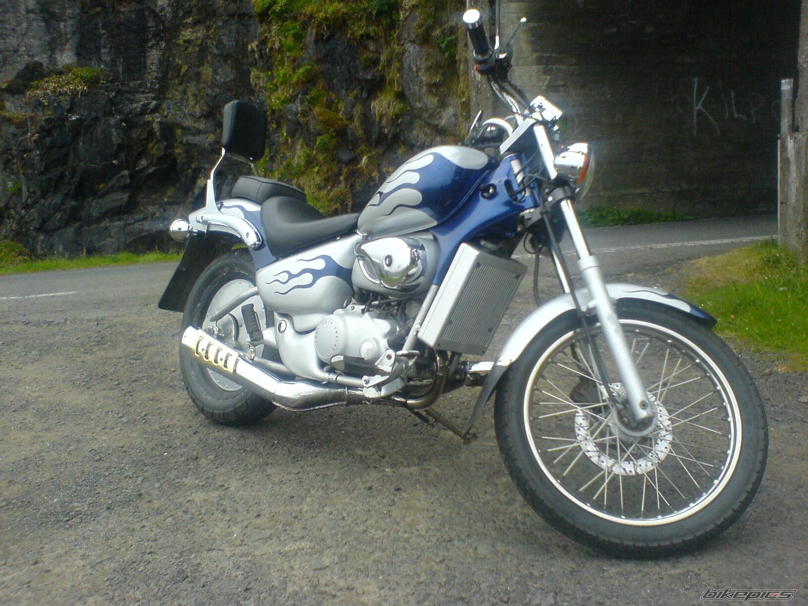 Photo 1558712
