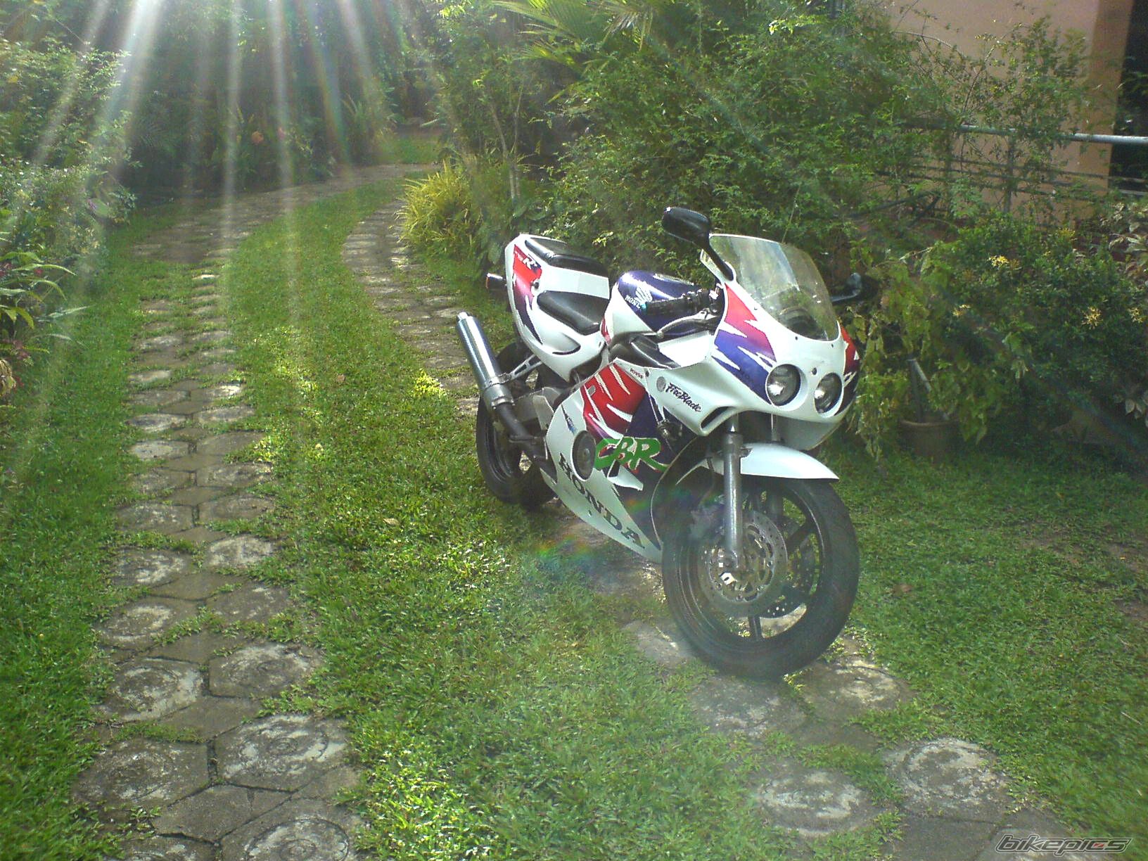 Photo 1558966