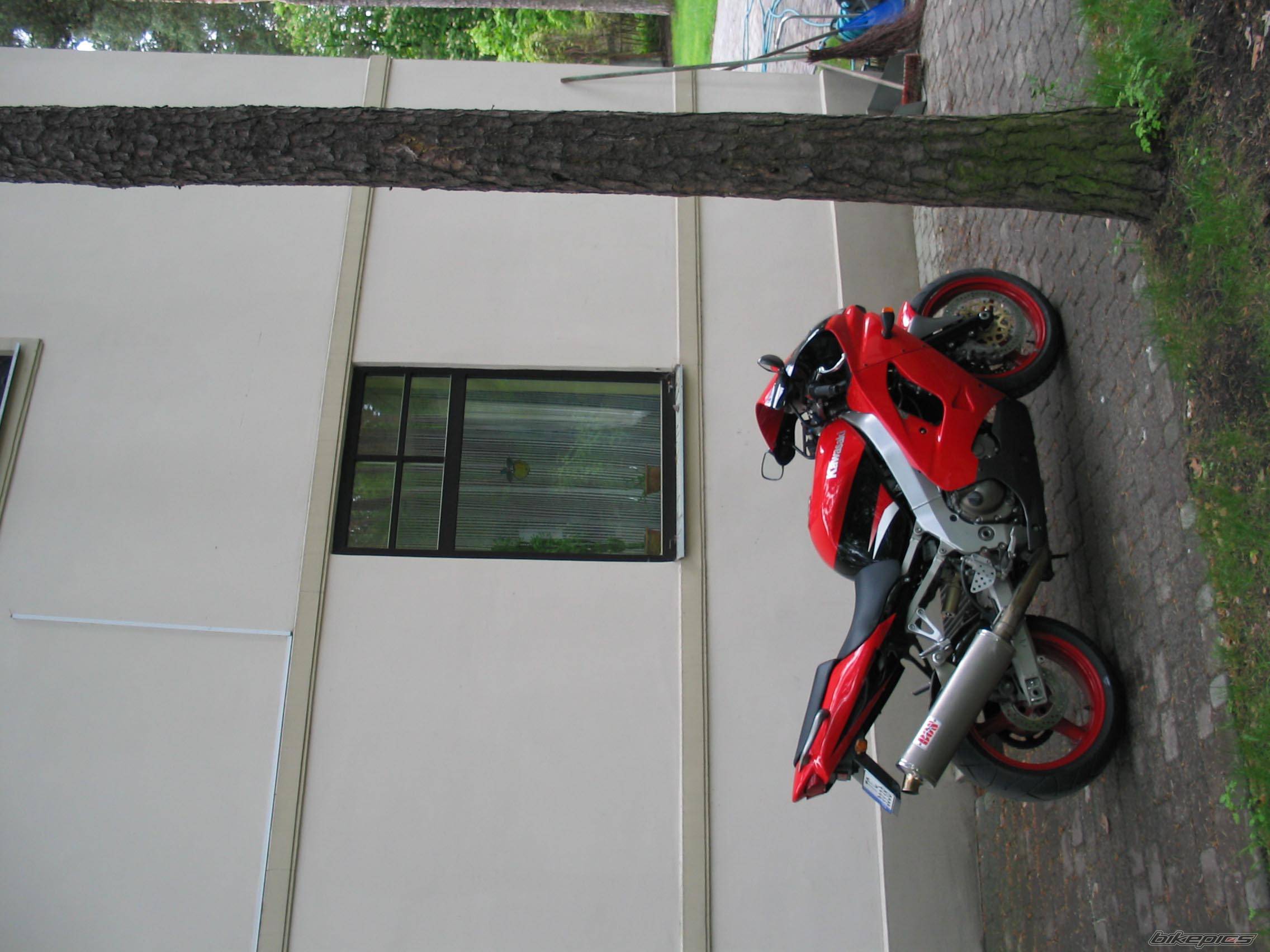 Photo 155903
