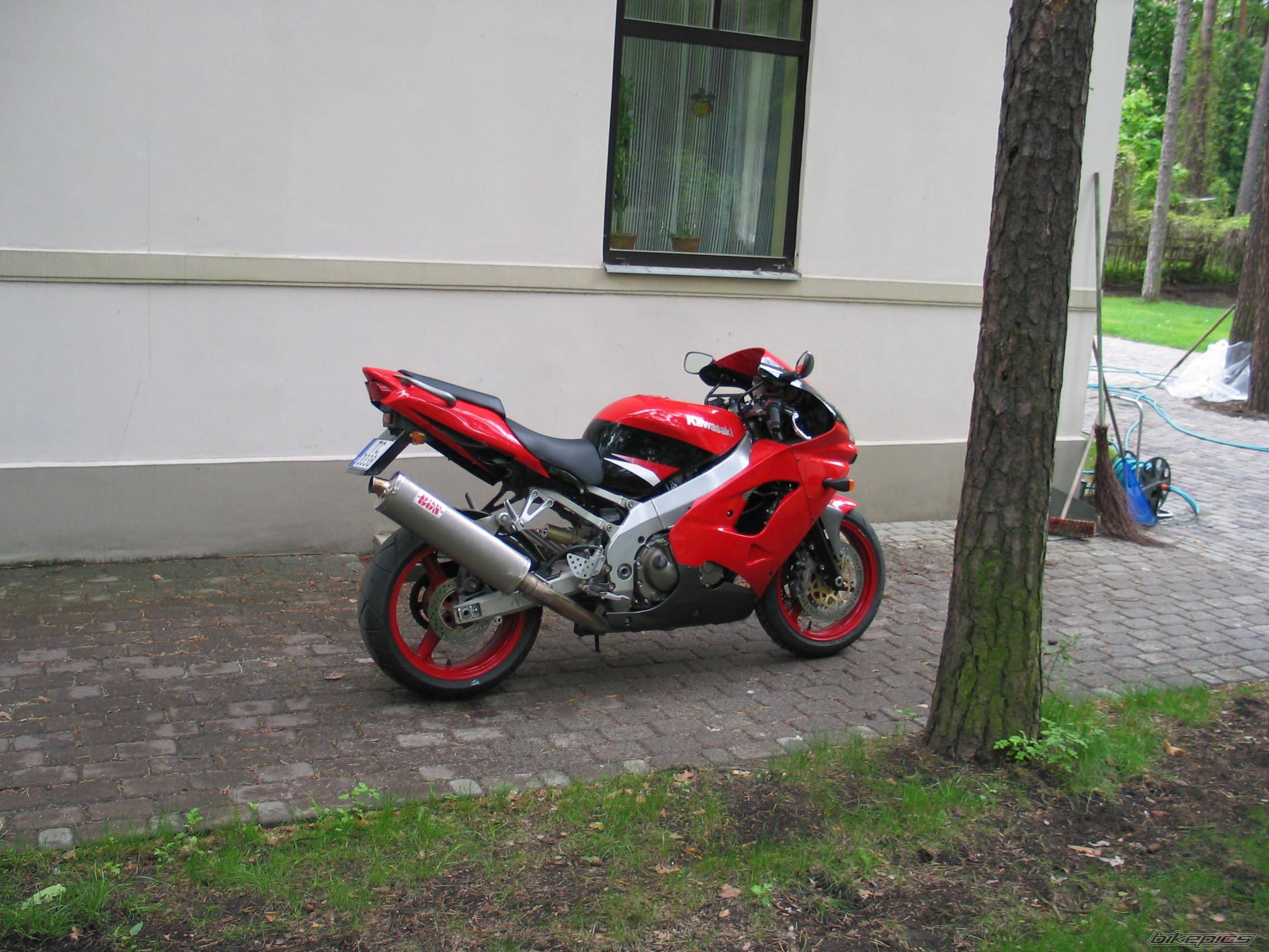 Photo 155905