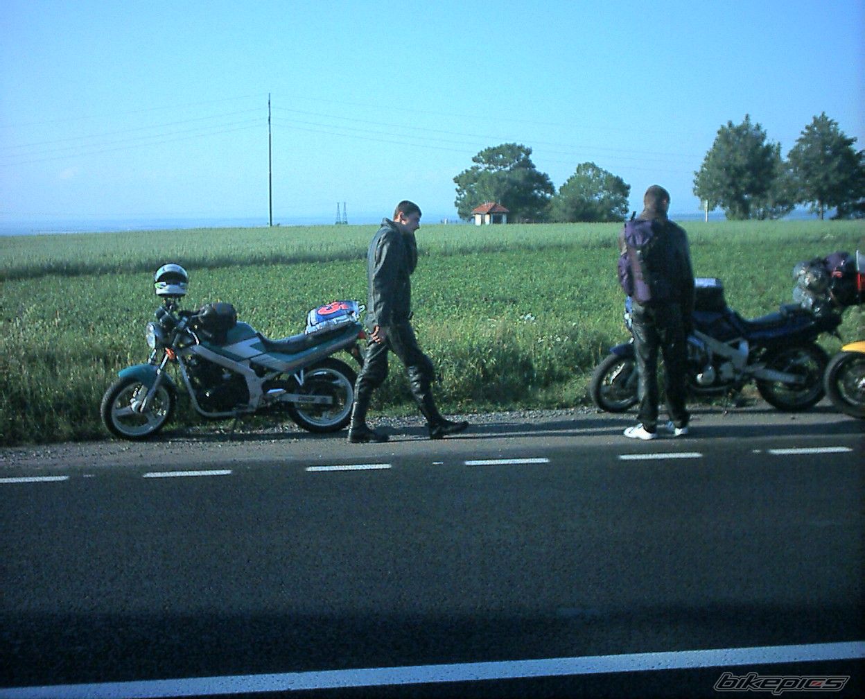 Photo 1559222