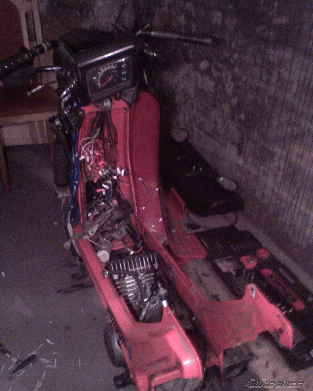 Photo 1559343