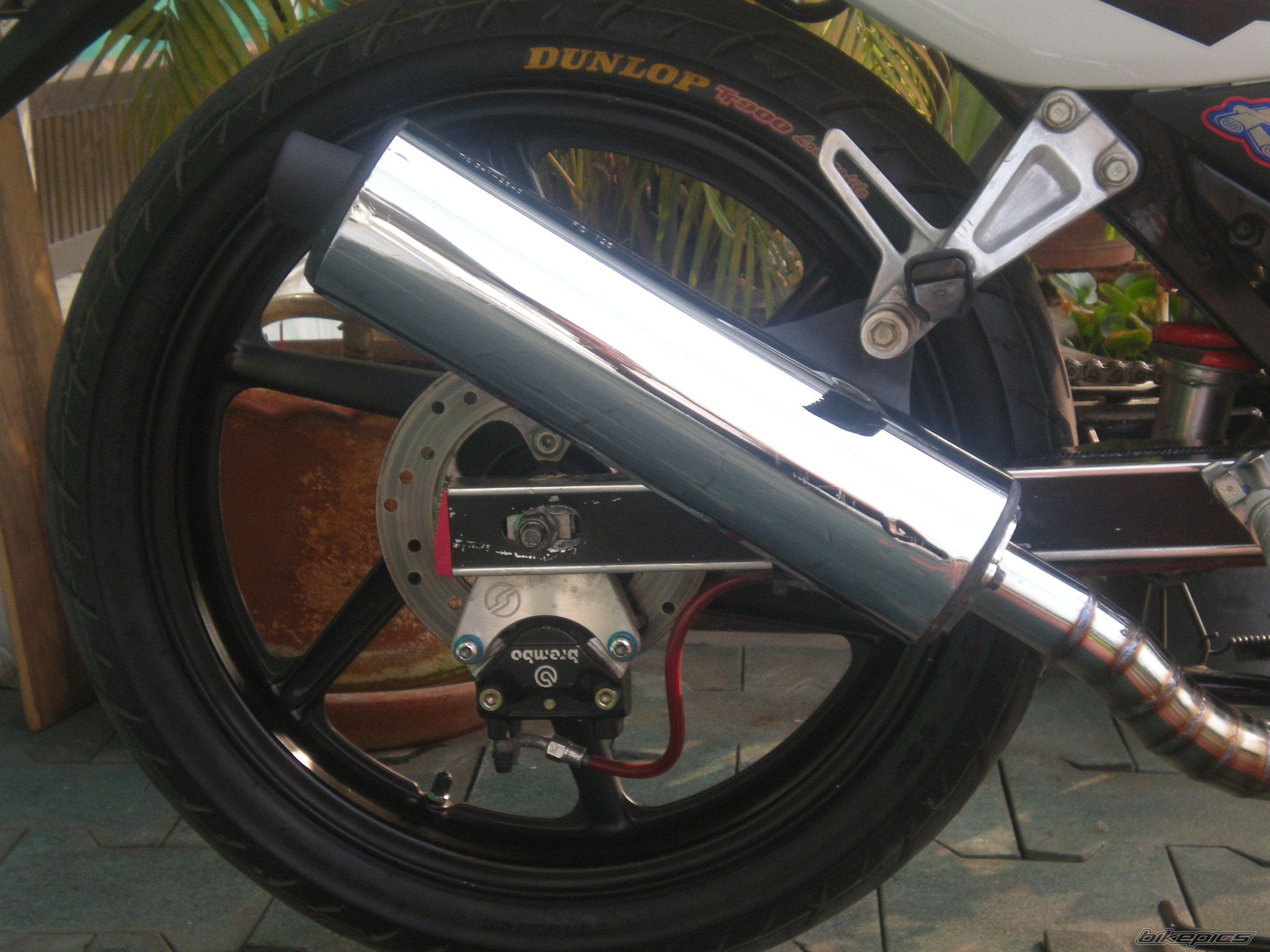 Photo 1560040