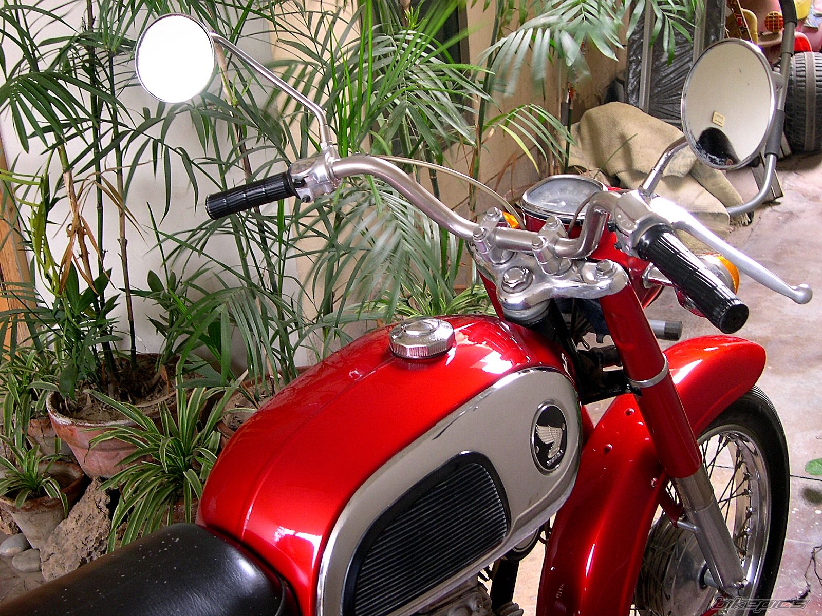 Photo 1561141