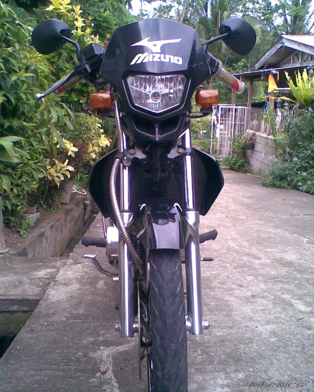 Photo 1561279