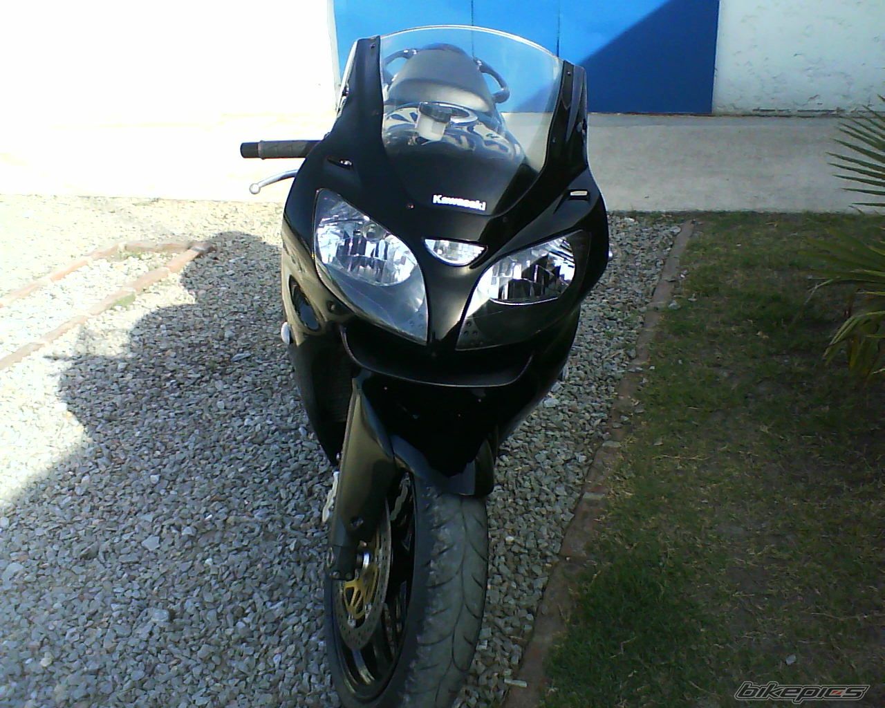 Photo 1561321