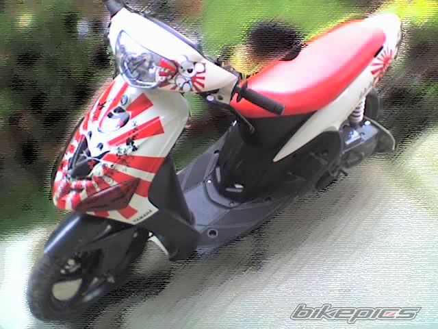 Photo 1564297