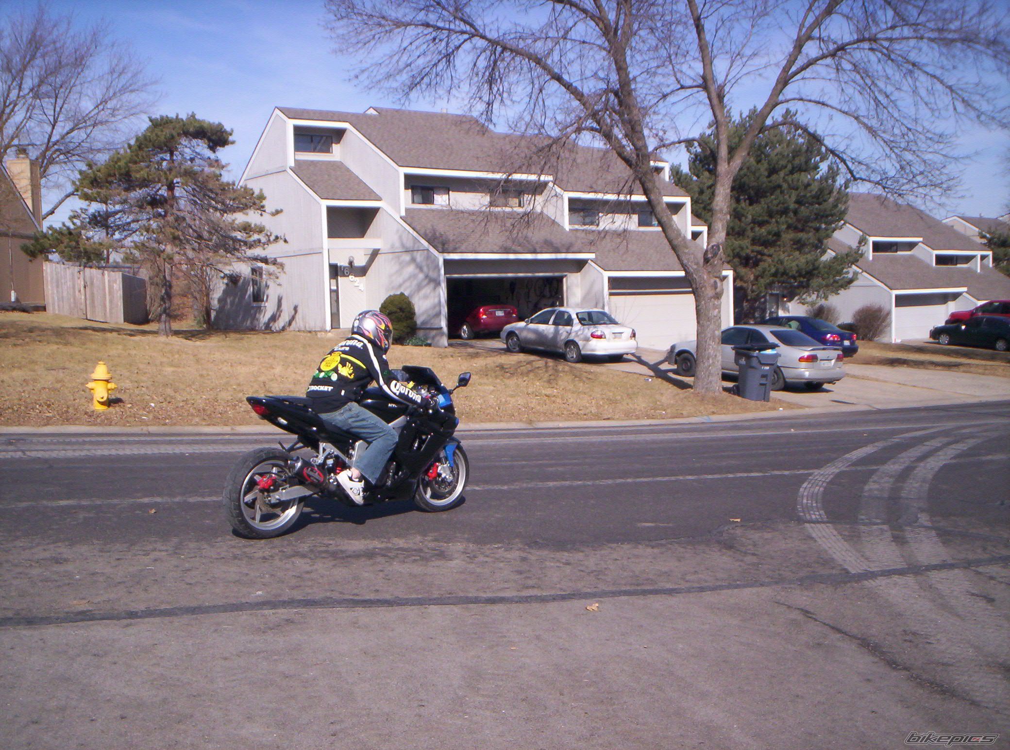 Photo 1565370