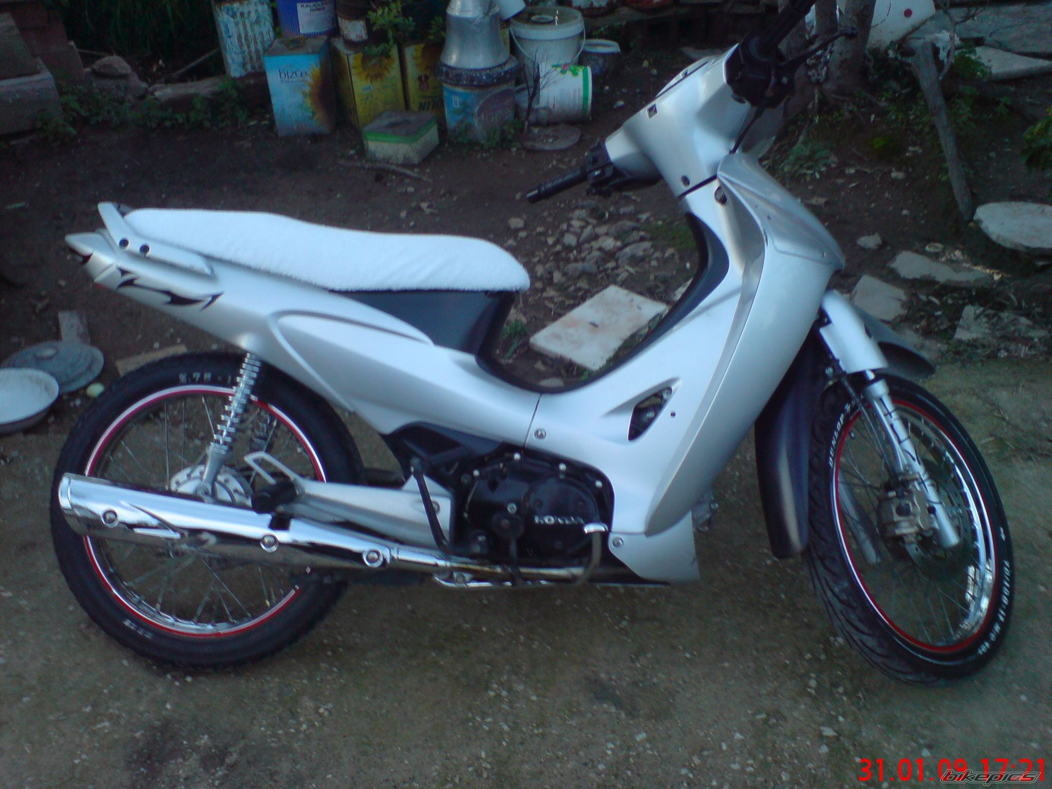 Photo 1565803