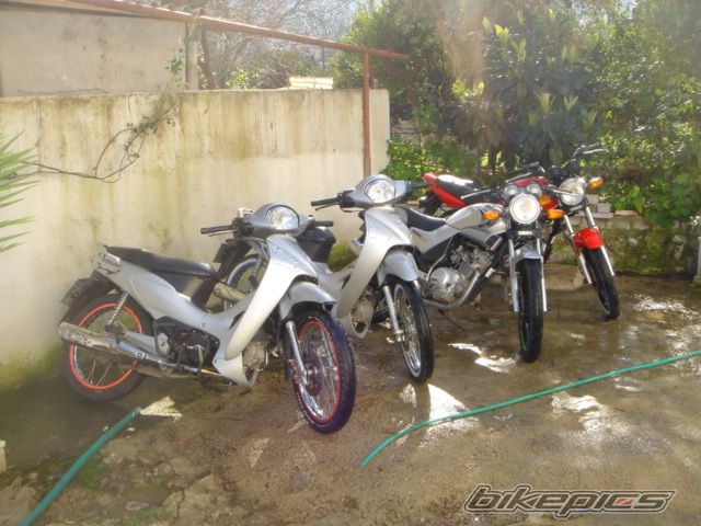 Photo 1565895