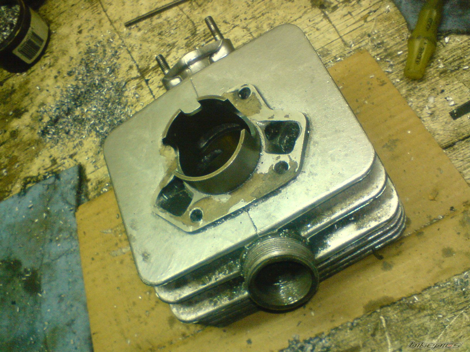 Photo 1566244