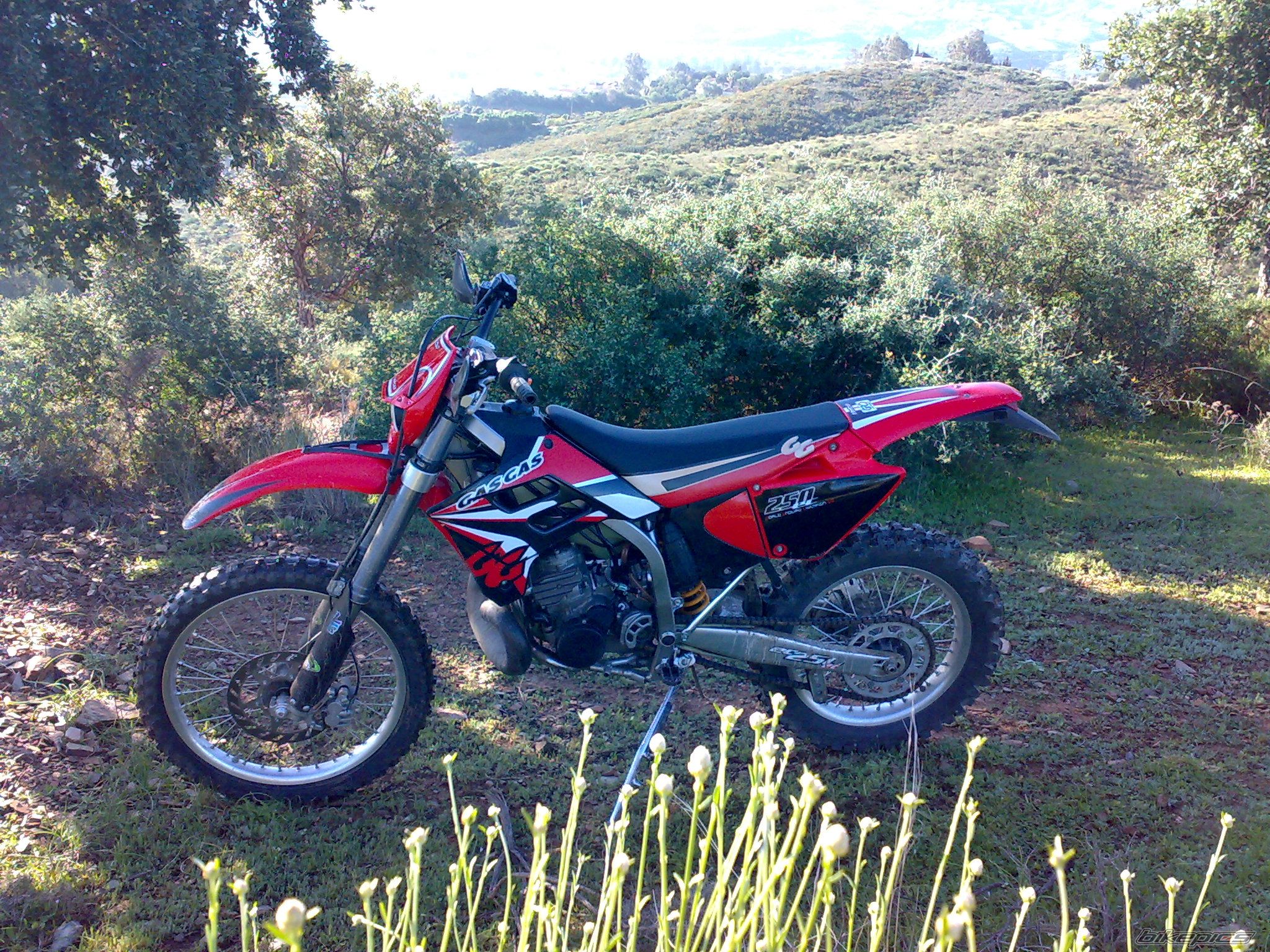 Bike Photo 1569901