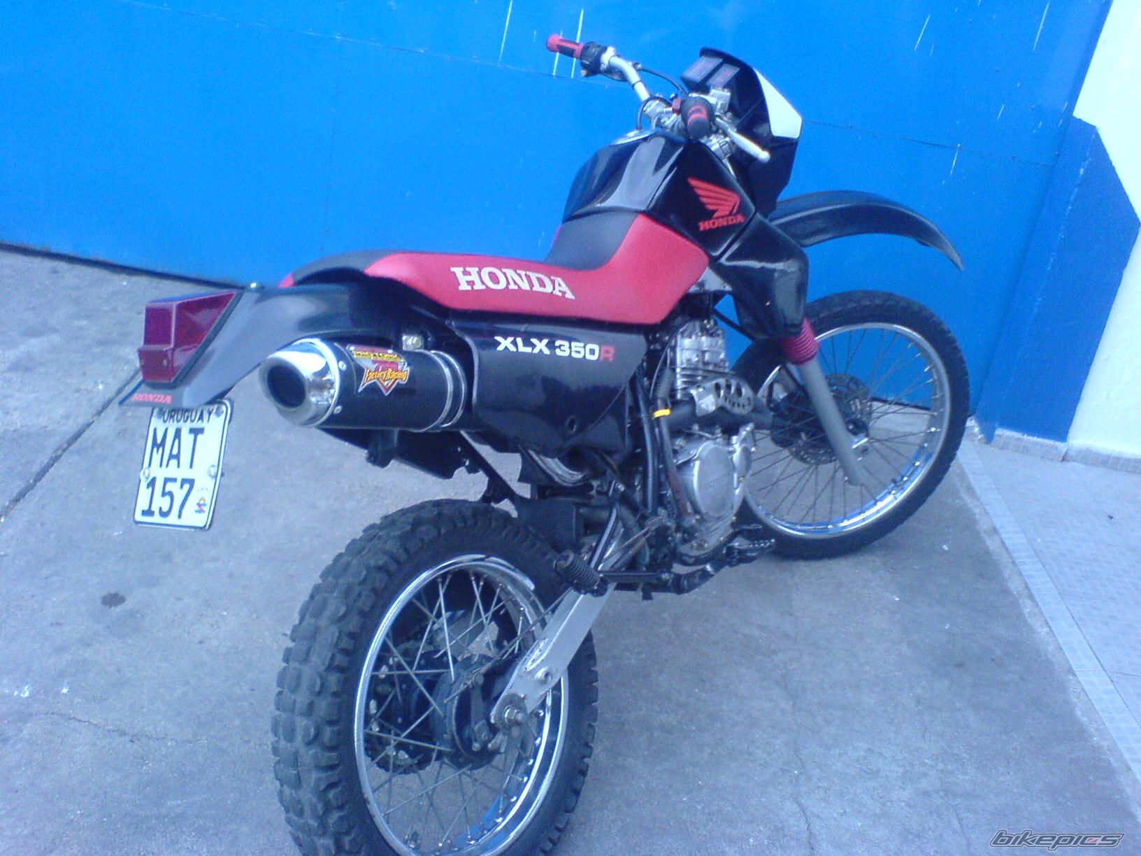Photo 1570743