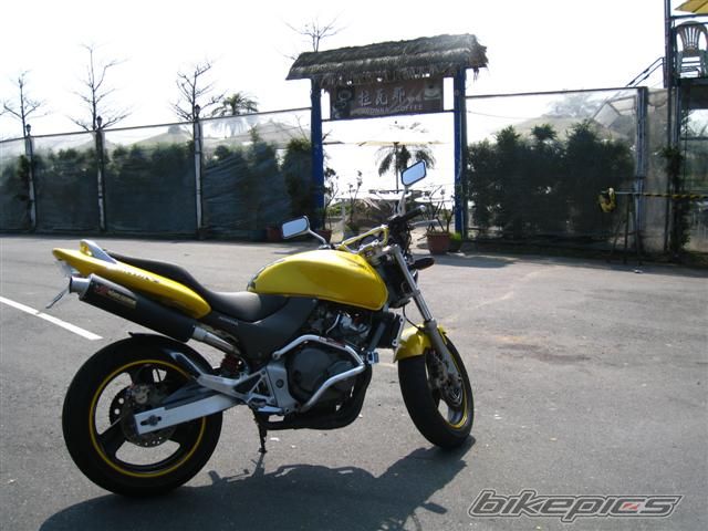 Photo 1571523