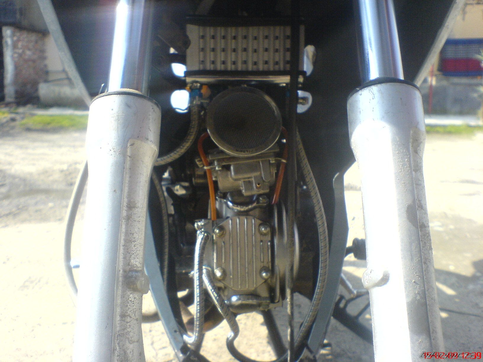 Photo 1572411