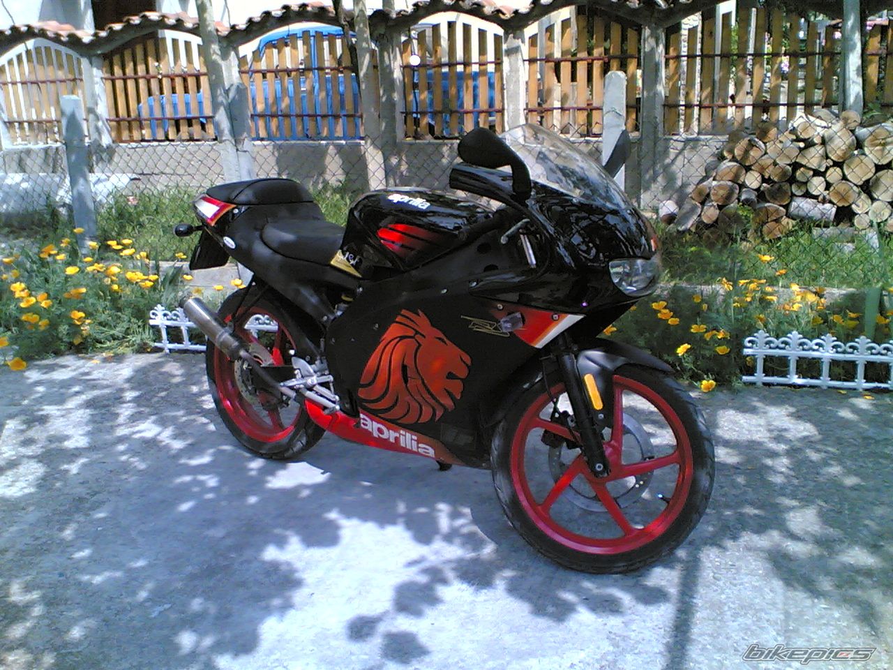 Photo 1573553