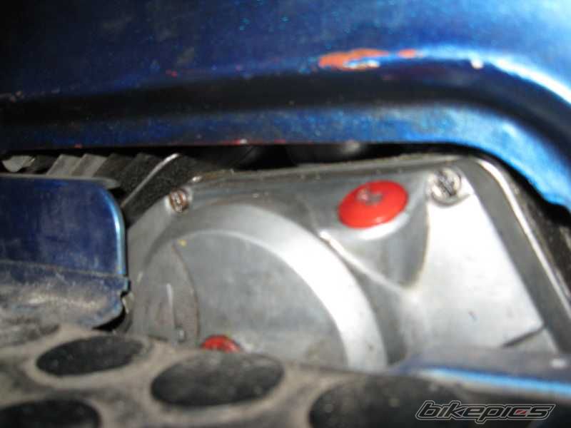Photo 1575709