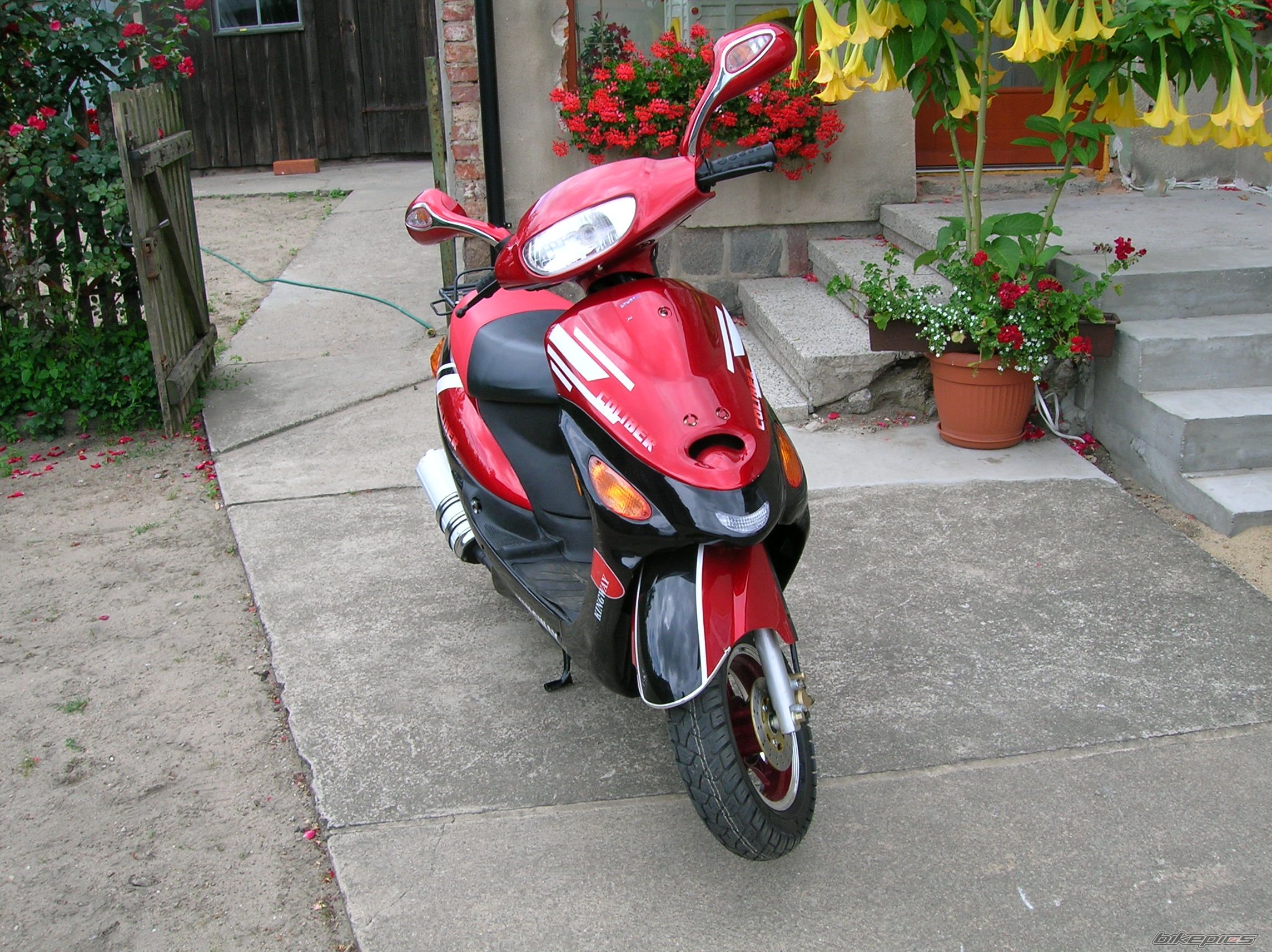 Photo 1578927