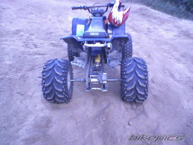 Photo 1579381