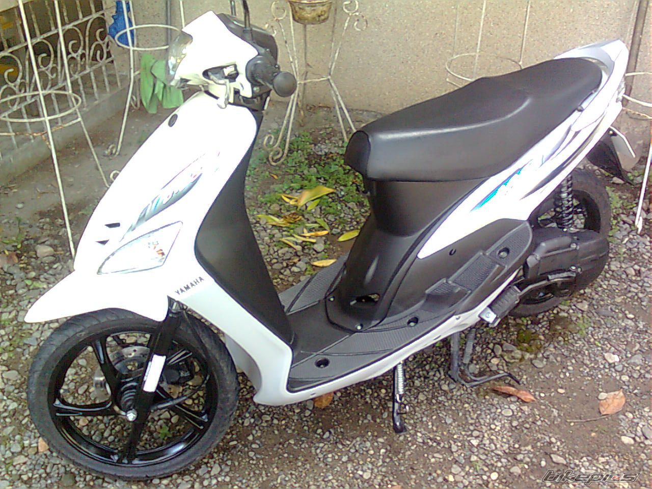 Photo 1580655