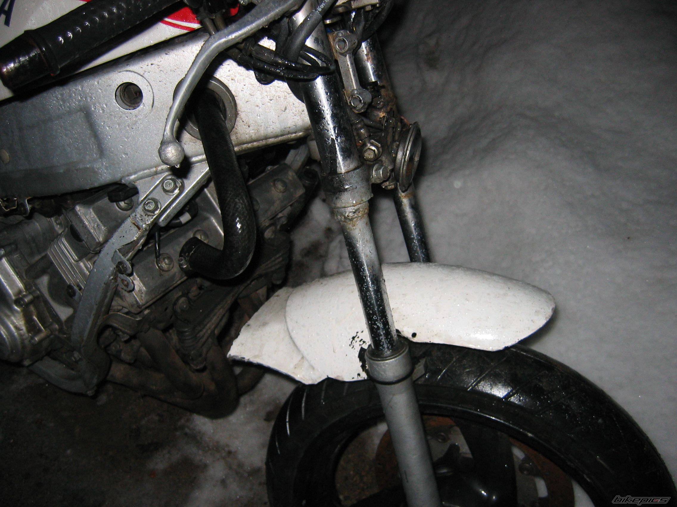 Photo 1581453