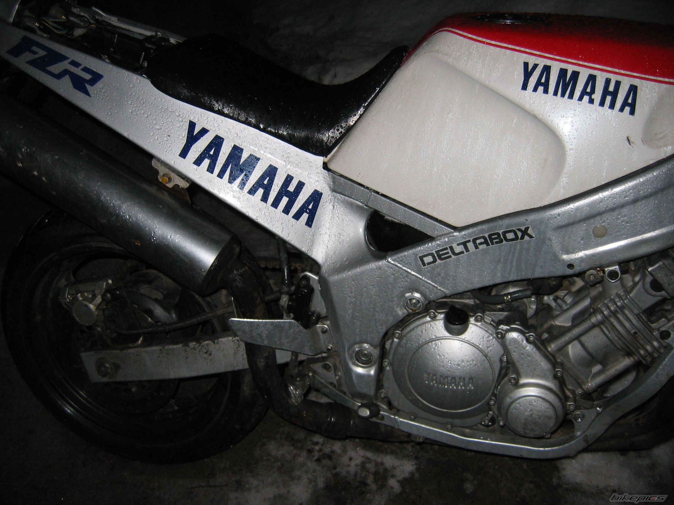 Photo 1581459