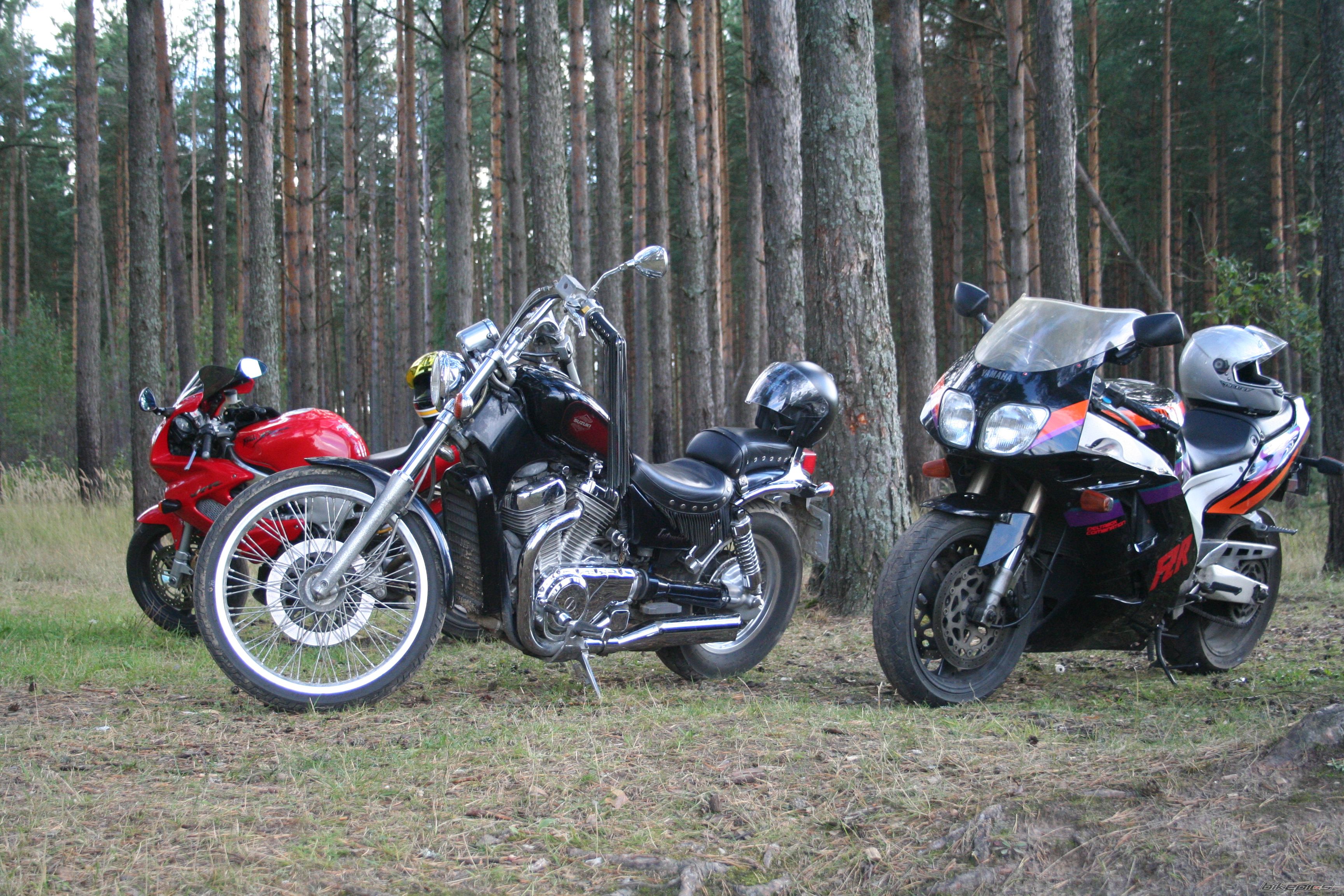 Photo 1581768