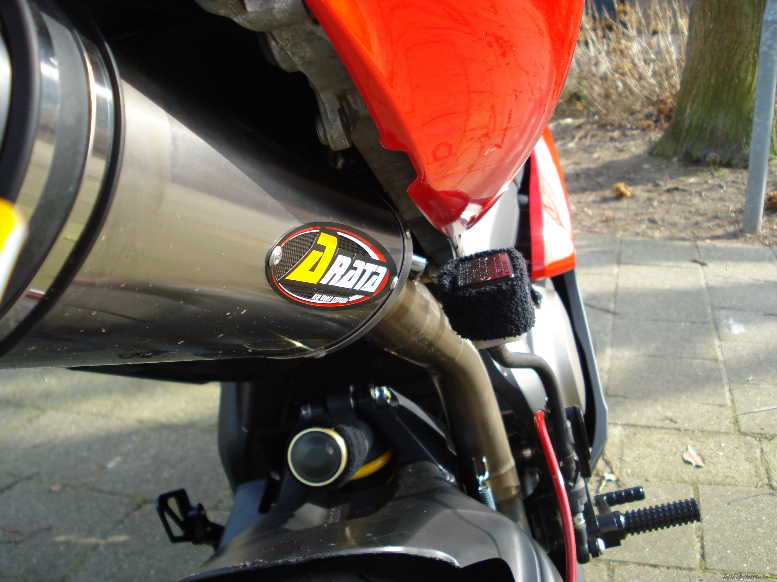 Photo 1586206