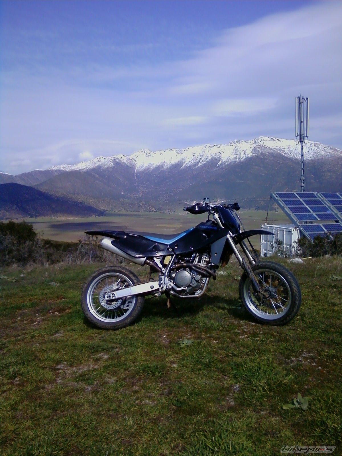 Photo 1587503