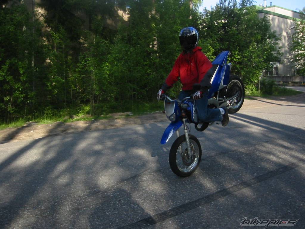 Photo 159326
