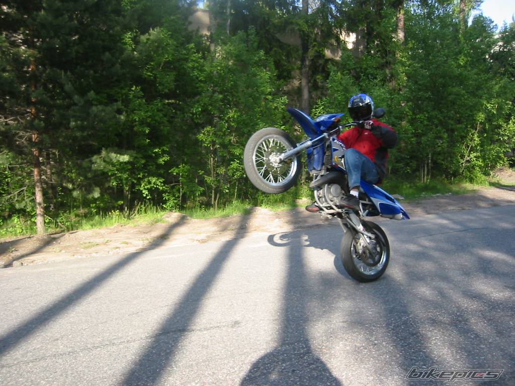 Photo 159331