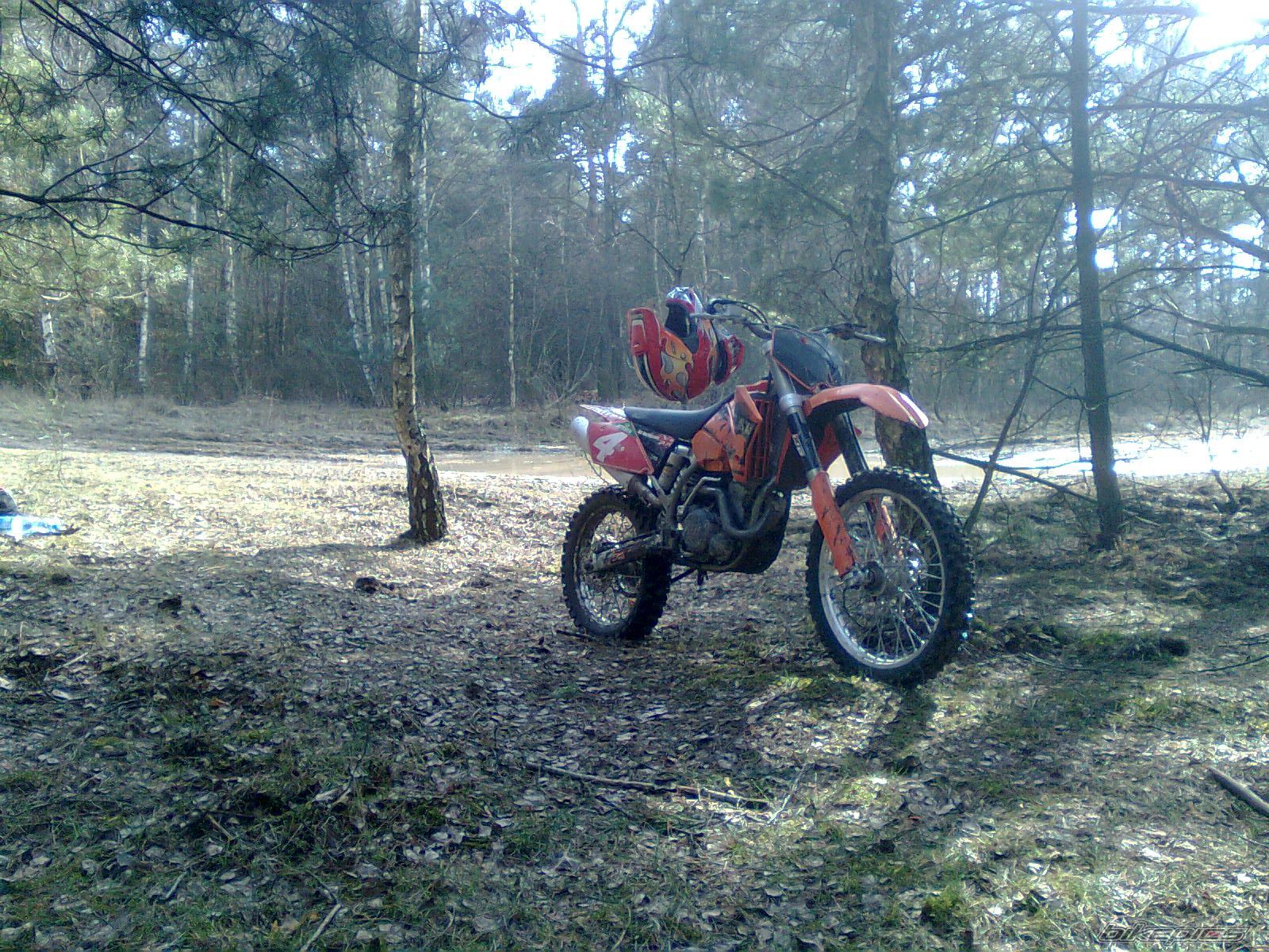 Photo 1593335