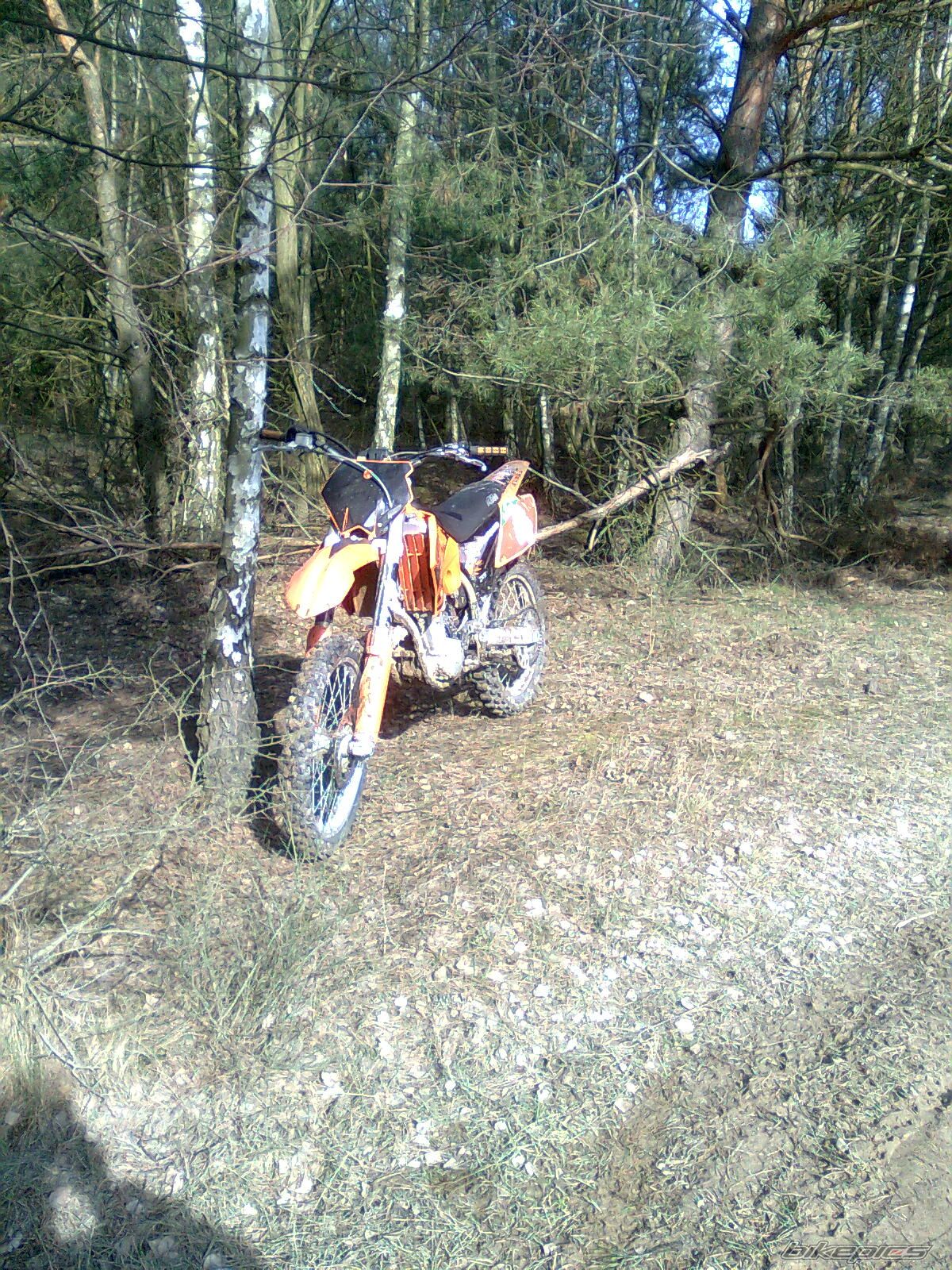 Photo 1593348